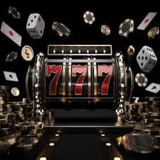 239ttt